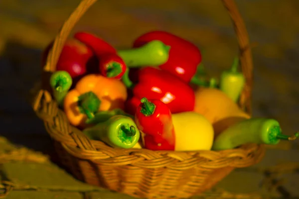 Cesta Madeira Outono Com Legumes Frescos Coloridos Maduros — Fotografia de Stock