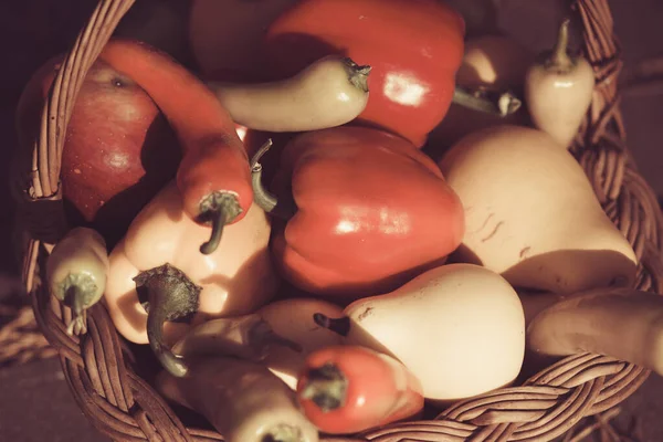 Осенняя Деревянная Корзина Спелыми Свежими Красочными Овощами — стоковое фото