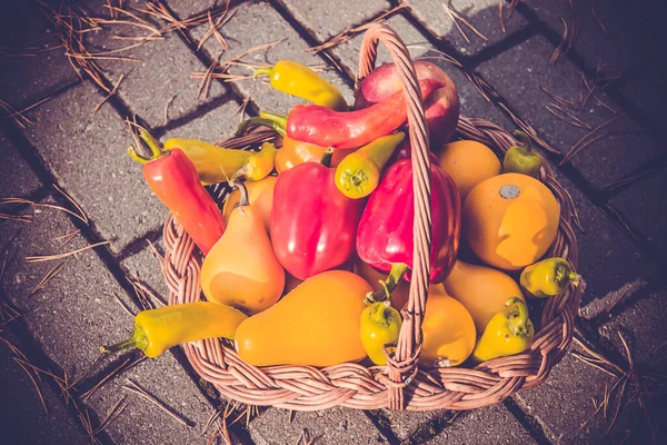 Cesta Madeira Outono Com Legumes Frescos Coloridos Maduros — Fotografia de Stock