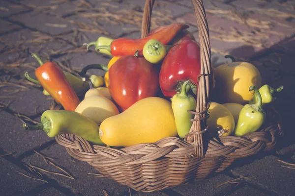 Panier Bois Automne Avec Légumes Frais Colorés Mûrs — Photo