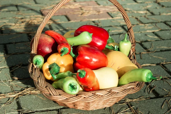 Cesta Madeira Outono Com Legumes Frescos Coloridos Maduros — Fotografia de Stock