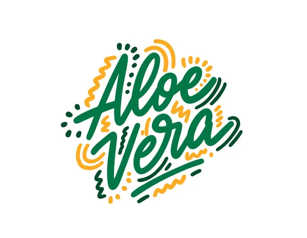 Aloe vera hand drawn illustration. Template for card banner and poster for bar menu and restaurant. Vector illustration — Stock Illustration Aloe Vera Hand Drawn Illustration Template Card Banner Poster Bar Stock Illustration