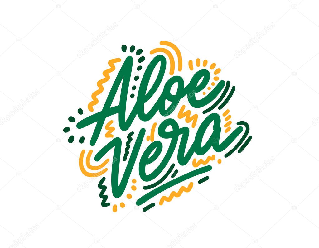 Aloe vera hand drawn illustration. Template for card banner and poster for bar menu and restaurant. Vector illustration