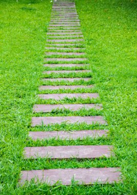 Patika yeşil çimenlerin üzerinde beton.