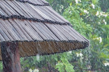 Tropik yağmur damlacıkları ile yağışlı sezon. Bambu çatıdan yağmur damlaları
