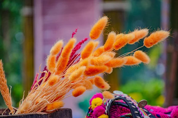 Ahşap Bir Sepete Yerleştirilmiş Vahşi Gibi Kurutulmuş Çiçekler Yetişir Renkli — Stok fotoğraf