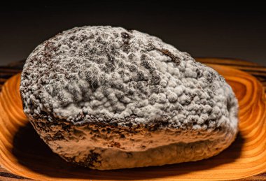 Avokado rengi değişene kadar çürümüştü..