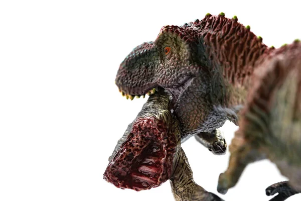 Tyrannosaurus Mordendo Corpo Dinossauro Com Sangue Fundo Branco Close — Fotografia de Stock