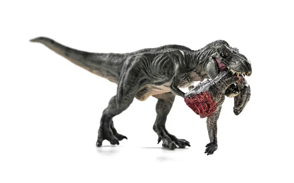 Tiranosaurio Mordiendo Cuerpo Dinosaurio Con Sangre Sobre Fondo Blanco —  Fotos de Stock
