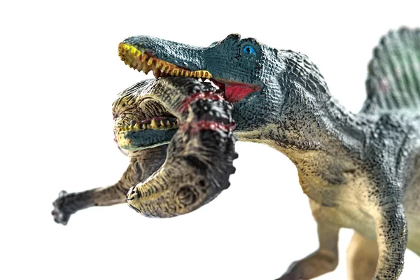 Spinosaurus Mordendo Corpo Dinossauro Com Sangue Close Branco — Fotografia de Stock