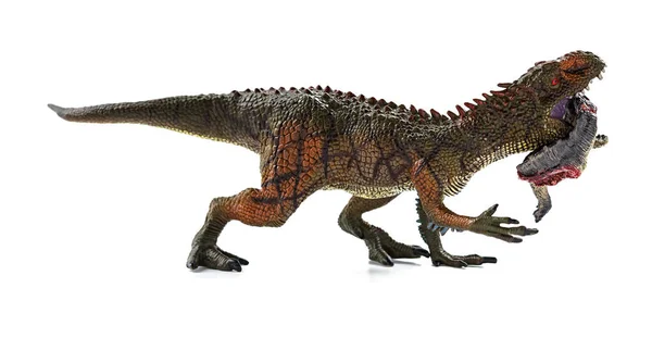 Carcharodontossauro Mordendo Corpo Dinossauro Com Sangue Fundo Branco — Fotografia de Stock
