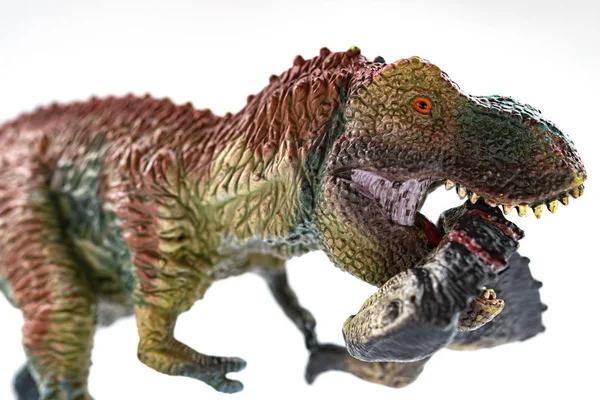 Tyrannosaurus Mordendo Corpo Dinossauro Com Sangue Fundo Branco Close — Fotografia de Stock