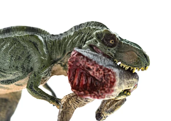 Tyrannosaurus Mordendo Corpo Dinossauro Com Sangue Fundo Branco Close — Fotografia de Stock