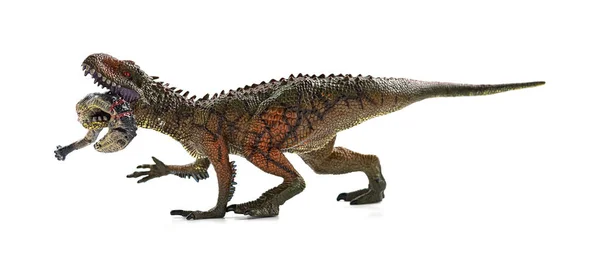 Carcharodontosaurus Mordiendo Cuerpo Dinosaurio Con Sangre Sobre Fondo Blanco —  Fotos de Stock