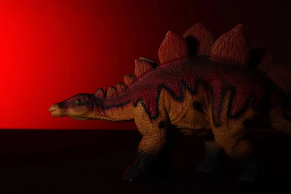 Stegosaurus with spot light on the head and red light on background no logo and no trademark