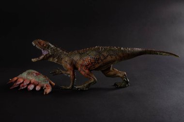 Carcharodontosaurus koyu arka plan üzerinde bir stegosaurus gövdeli