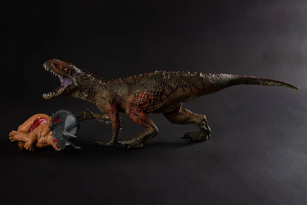 어두운 배경에 트리케라톱스 시체와 Carcharodontosaurus를 닫습니다 — 스톡 사진