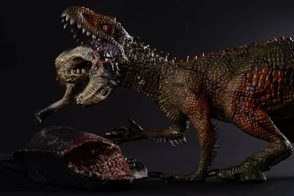 Carcharodontosaurus Con Cuerpo Dinosaurio Cerca Sobre Fondo Oscuro Cerca —  Fotos de Stock
