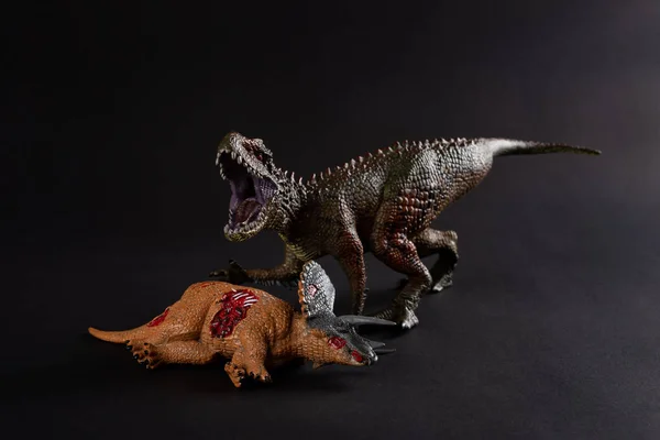 Carcharodontosaurus Con Corpo Triceratopo Nelle Vicinanze Sfondo Scuro Vicino — Foto Stock