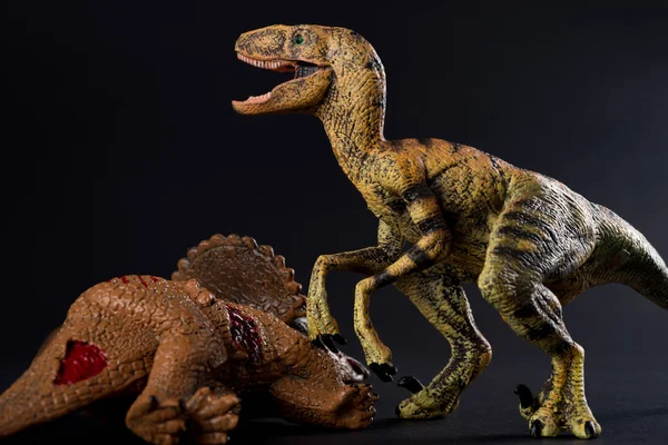 Velociraptor Con Corpo Triceratopo Nelle Vicinanze Sfondo Scuro — Foto Stock