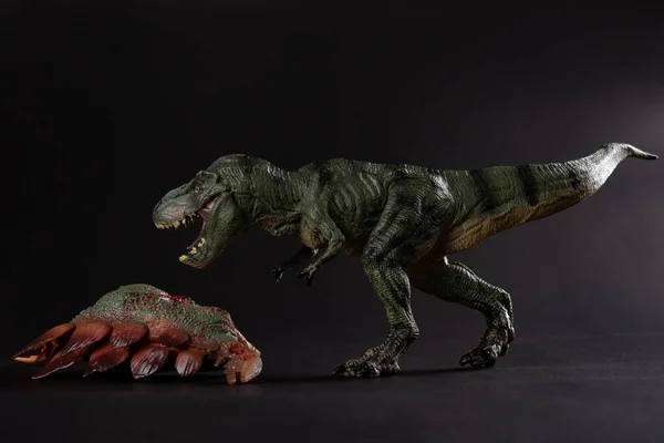 Tyrannosaurus Koyu Arka Plan Üzerinde Bir Stegosaurus Gövdeli — Stok fotoğraf