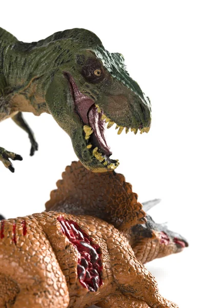 Tyrannosaurus Beyaz Arka Plan Dikey Kompozisyon Üzerinde Bir Triceratops Gövdeli — Stok fotoğraf
