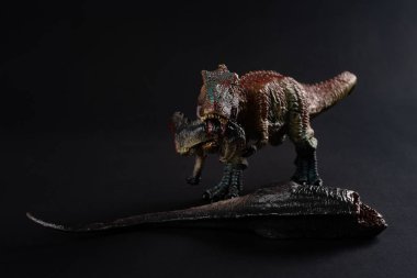 koyu arka plan üzerinde bir dinozor gövdeli önden görünüm tyrannosaurus