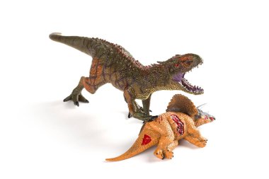 Carcharodontosaurus beyaz arka plan üzerinde bir triceratops gövdeli