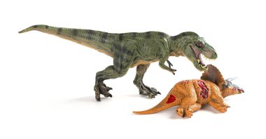 Tyrannosaurus beyaz arka plan üzerinde bir triceratops gövdeli