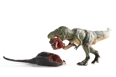 bir dinozor vücut beyaz arka plan üzerinde ısırma tyrannosaurus