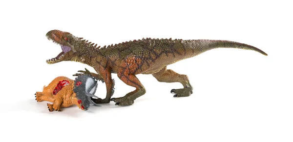 Carcharodontosaurus 与三角身体附近的白色背景 — 图库照片