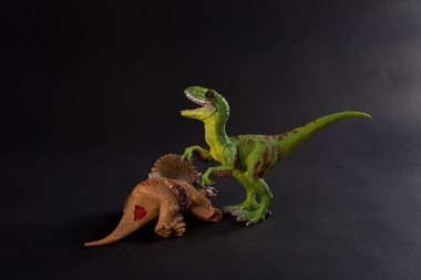 VelociRaptor koyu arka plan üzerinde bir triceratops gövdeli