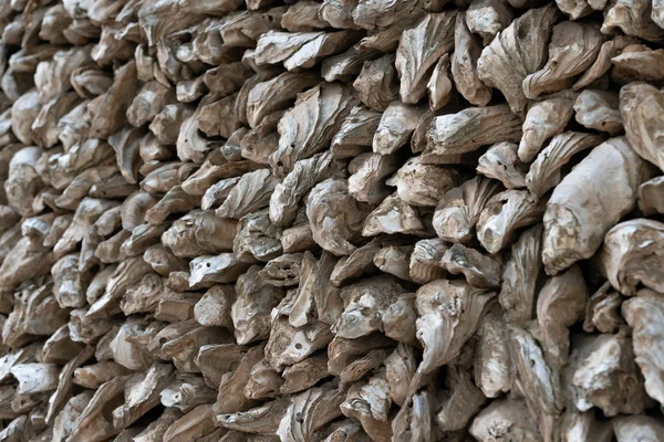Zijwand Weergave Gemaakt Van Oesterschelpen Als Achtergrond Textuur — Stockfoto