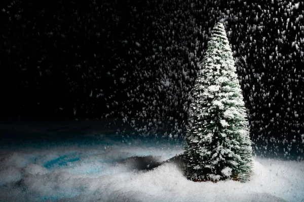 Highlighted Scene Christmas Tree Snow — Stock Photo, Image