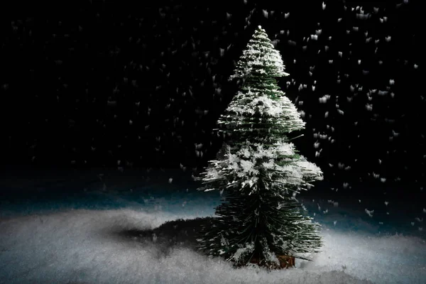 Выделенная Сцена Рождественской Елки Снегом — стоковое фото