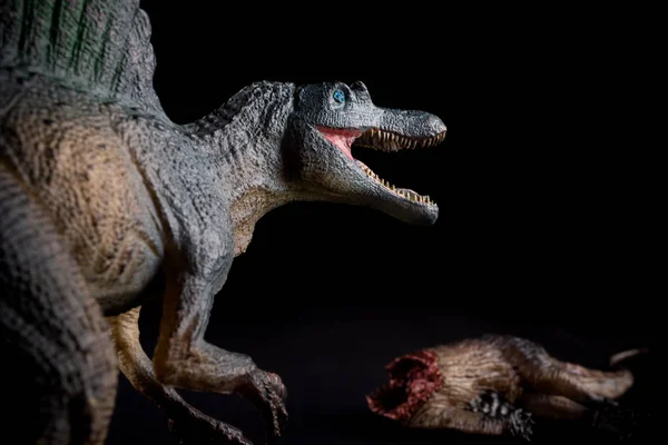 在黑暗背景的恐龙身体前面的尖刺龙 — 图库照片
