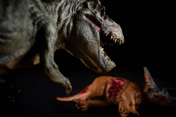 Tyrannosaurus Перед Телом Triceratops Темном Фоне — стоковое фото