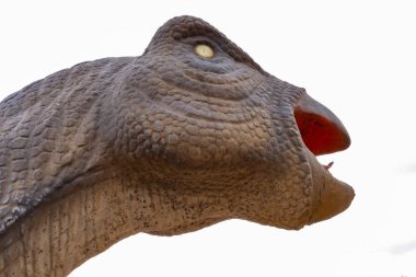 dinozor kafası yakın çekim