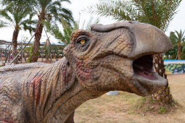 dinozor kafası yakın çekim