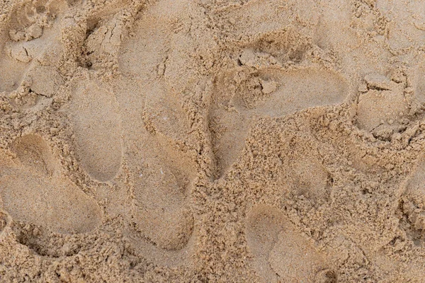 Коричневый Песок Качестве Фона Текстуры — стоковое фото