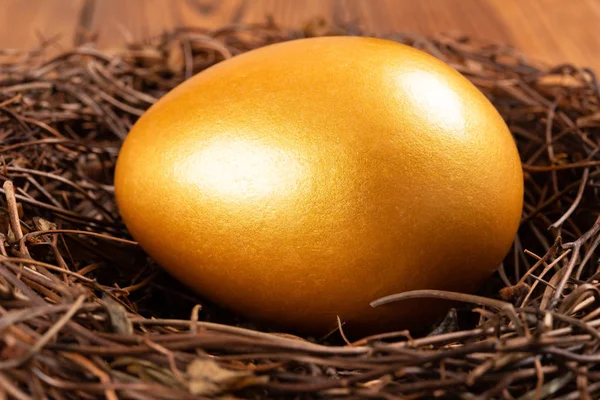 gold egg on a nest close up