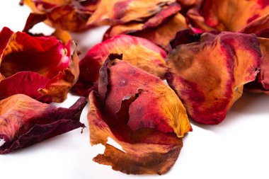 Beyaz bir arka plan üzerinde solmuş gül yaprakları