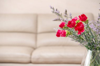 ev güzel karanfil ile kapalı