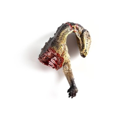 dinozor ceset beyaz bir arka plan üzerinde