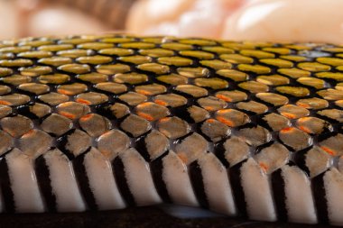 bir Chop tahta üzerinde yumurta ile kesme yılan vücudu