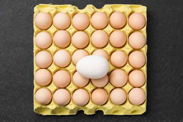 Гигантский Размер Гусиного Яйца Вершине Небольшой Куриные Яйца Концепции Сравнения — стоковое фото