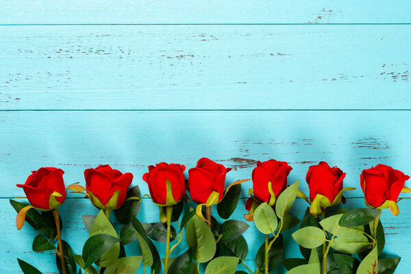 roses line up on blue wood background with copy space