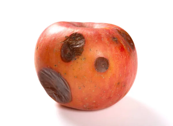 Rotten Apple White Background — Stock Photo, Image