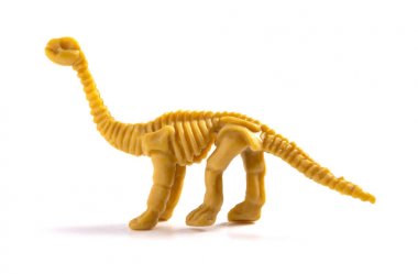 beyaz bir arka plan üzerinde bir diplodocus iskeleti