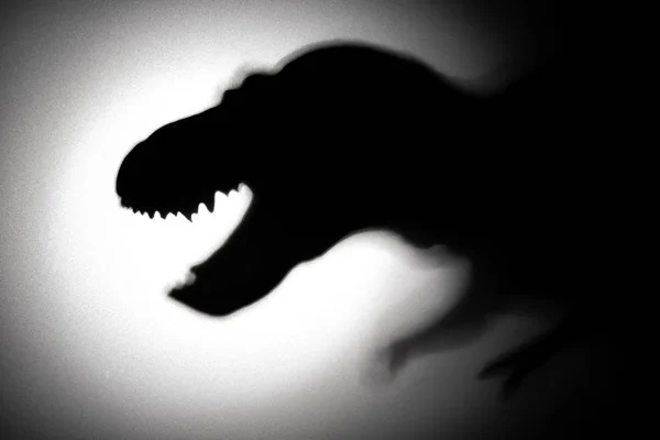Тень Тираннозавра Темном Пространстве — стоковое фото